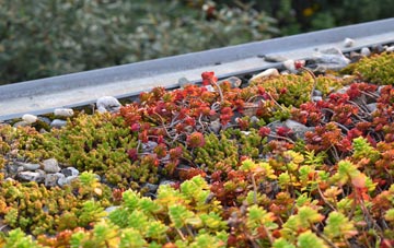 the cost of Colliton green roof installation