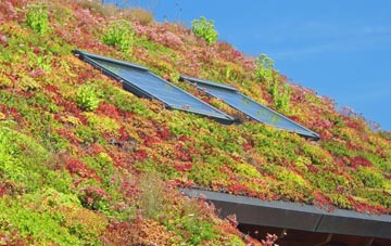 Colliton living roof systems